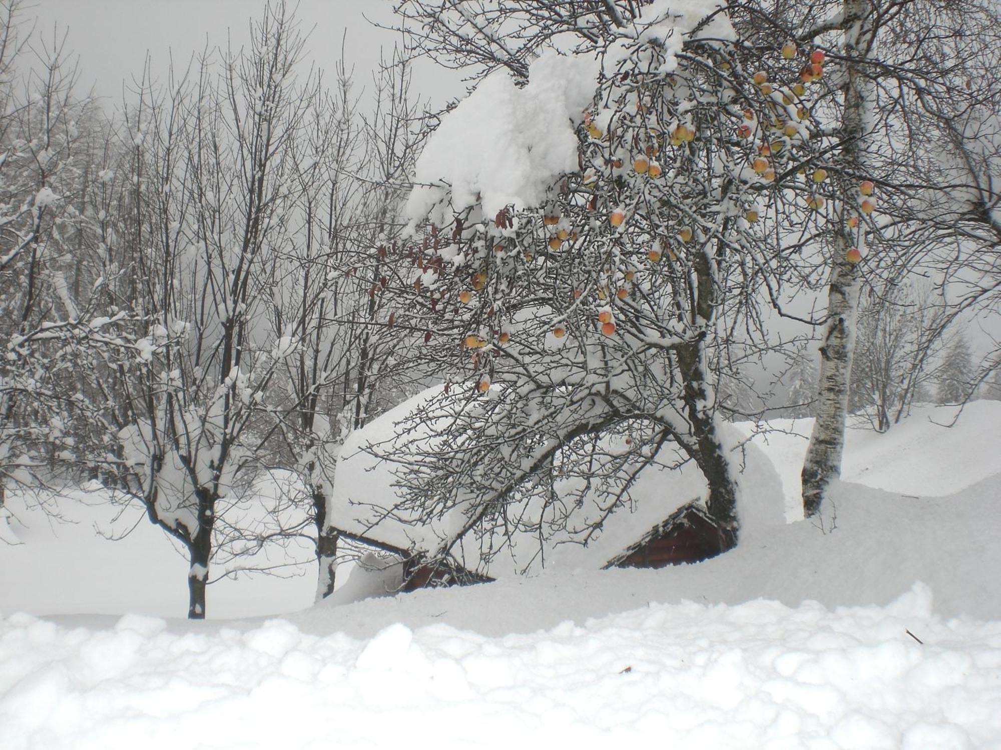 Baita Fraina Cortina dʼAmpezzo Esterno foto